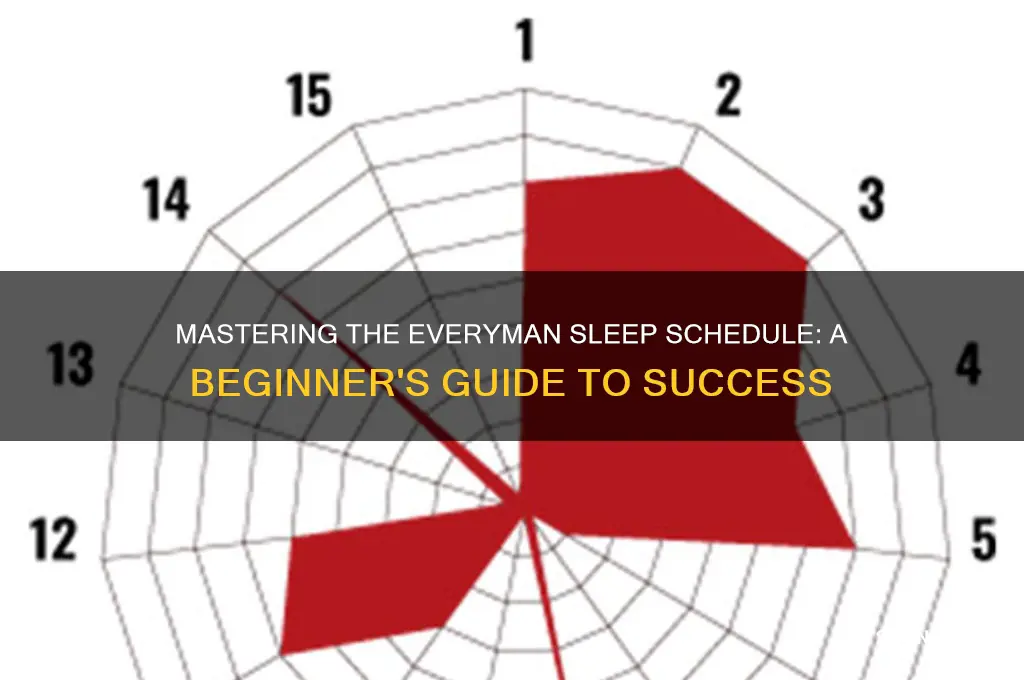 how to get started with everyman sleep schedule