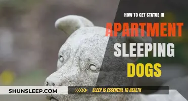 Sleeping Dogs Statue Guide: Apartment Secrets for Collectors