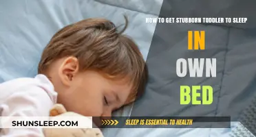 Helping Toddlers Sleep Independently: Tips for Own Bed Success