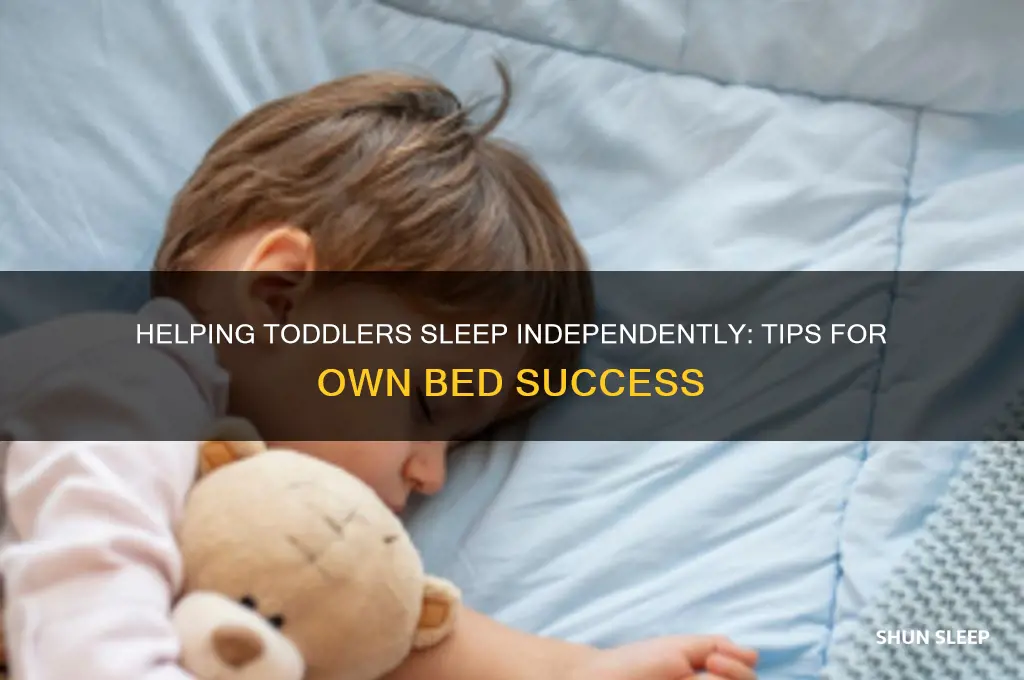 how to get stubborn toddler to sleep in own bed