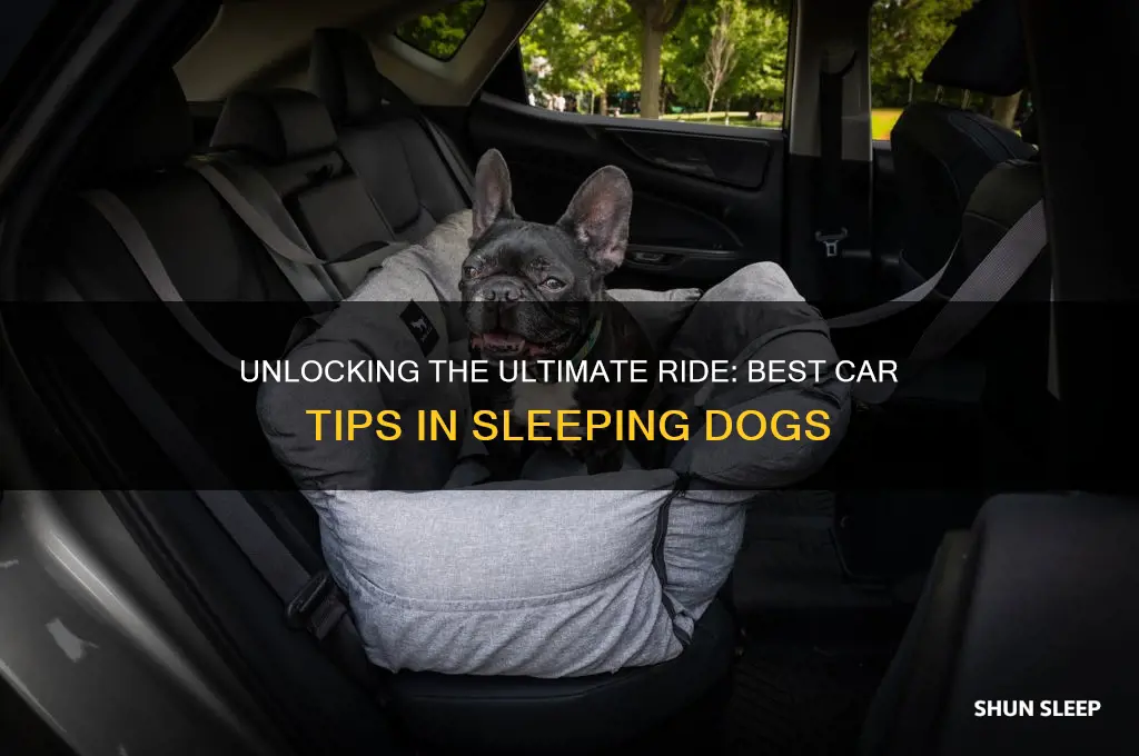 how to get the best car in sleeping dogs