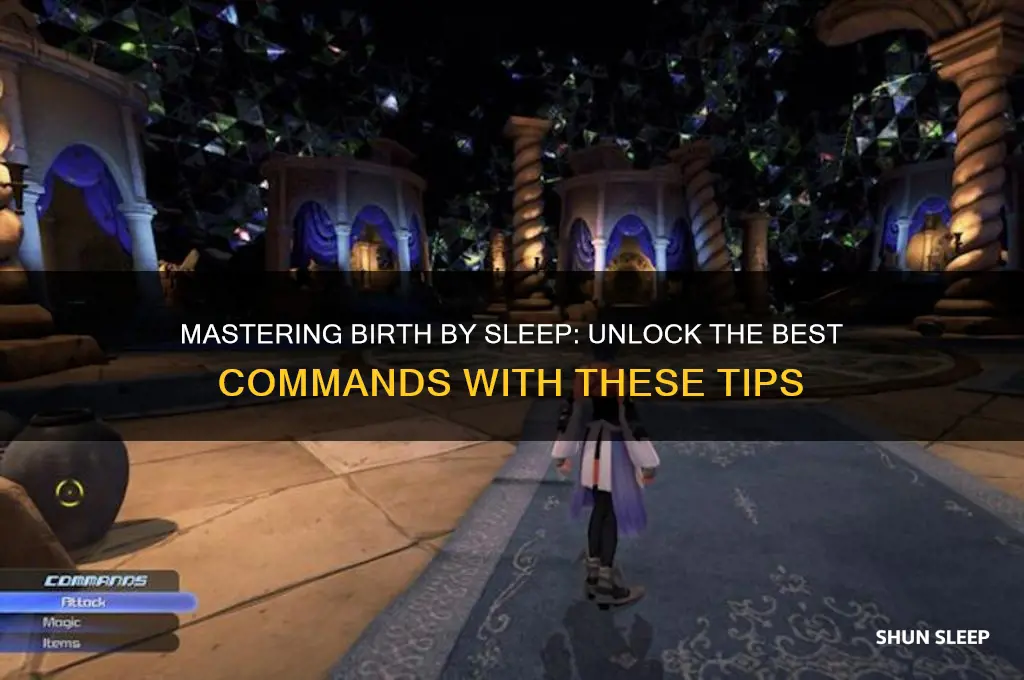 how to get the best commands in birth by sleep