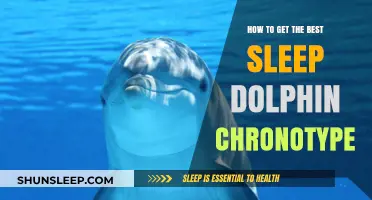 Mastering Rest: Optimal Sleep Strategies for Dolphin Chronotypes