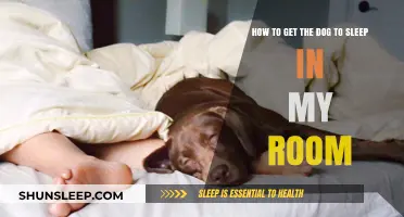 Cozy Canine Nights: Tips for Getting Your Dog to Sleep in Your Room