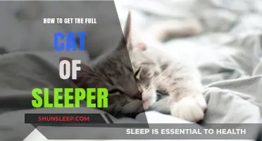 Mastering Sleeper: Tips to Unlock the Complete Cat Collection