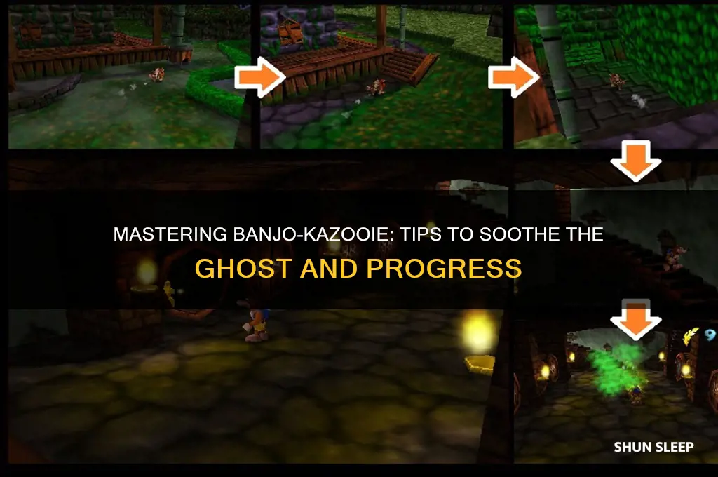 how to get the ghost to sleep in banjokazooie