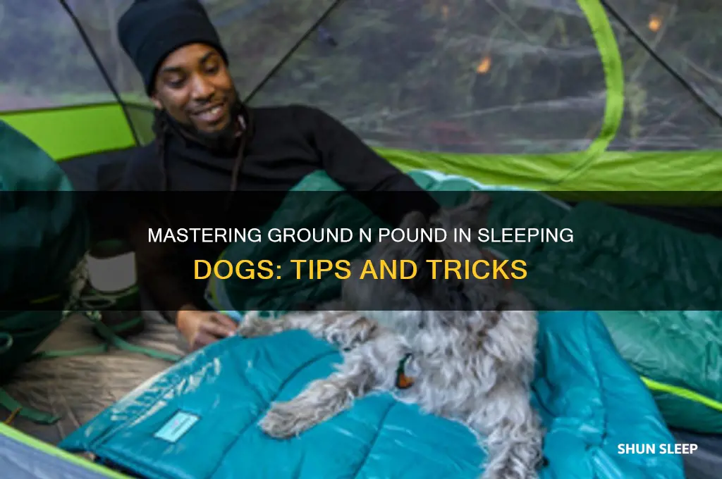 how to get the ground n pound for sleeping dogs