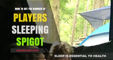 Spigot Server Guide: Tracking Sleeping Players Count Easily