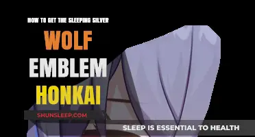 Unlocking the Sleeping Silver Wolf Emblem in Honkai Impact 3rd