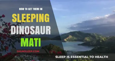 Sleeping Dinosaur Mati: Your Ultimate Guide to Reaching This Hidden Gem