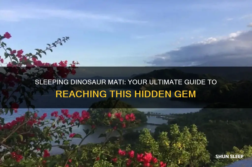 how to get there in sleeping dinosaur mati