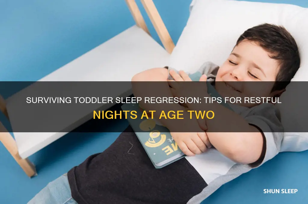 how to get through 2 year old sleep regression