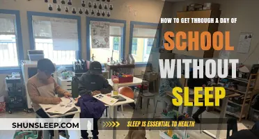 Surviving School on Zero Sleep: Tips for Staying Alert and Focused