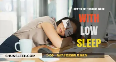 Surviving the Workday: Strategies for Low-Sleep Productivity and Focus