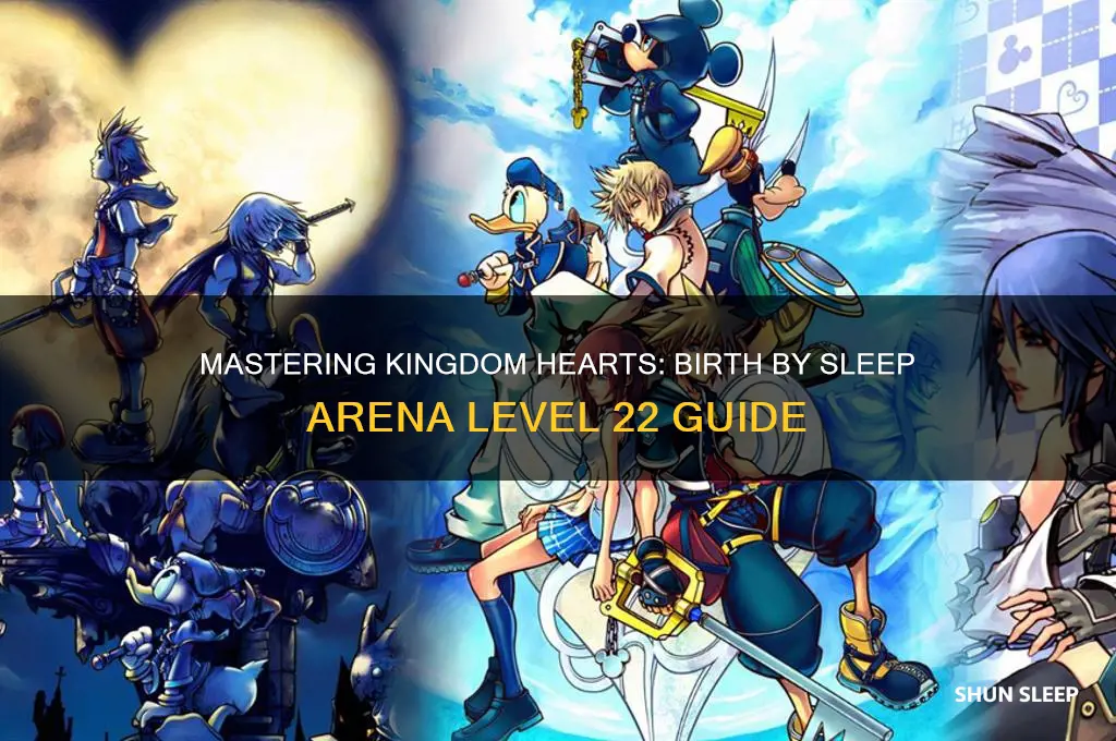 how to get to arena level 22 birth by sleep