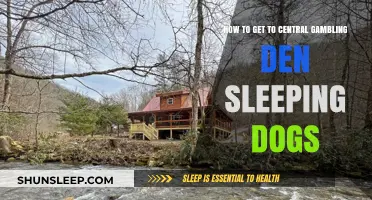 Sleeping Dogs Guide: Navigating to Central Gambling Den Easily