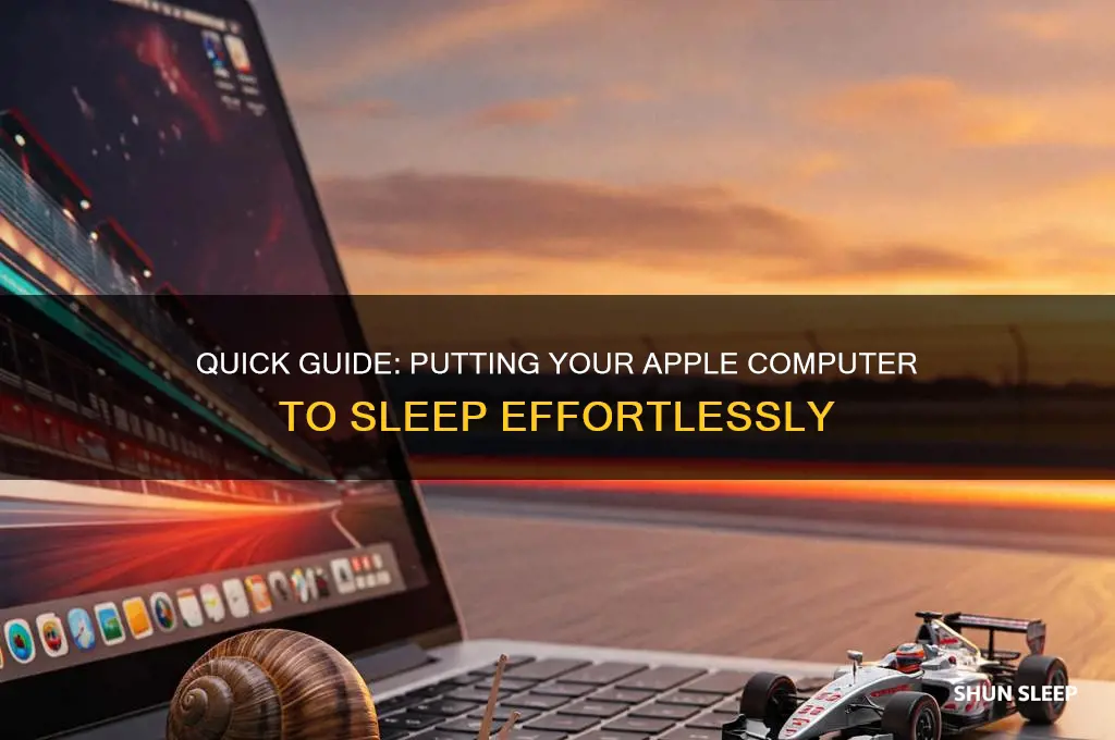 how to get to computer sleep in apple