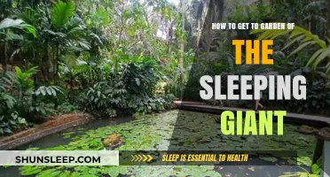 Discover Fiji's Garden of the Sleeping Giant: A Travel Guide