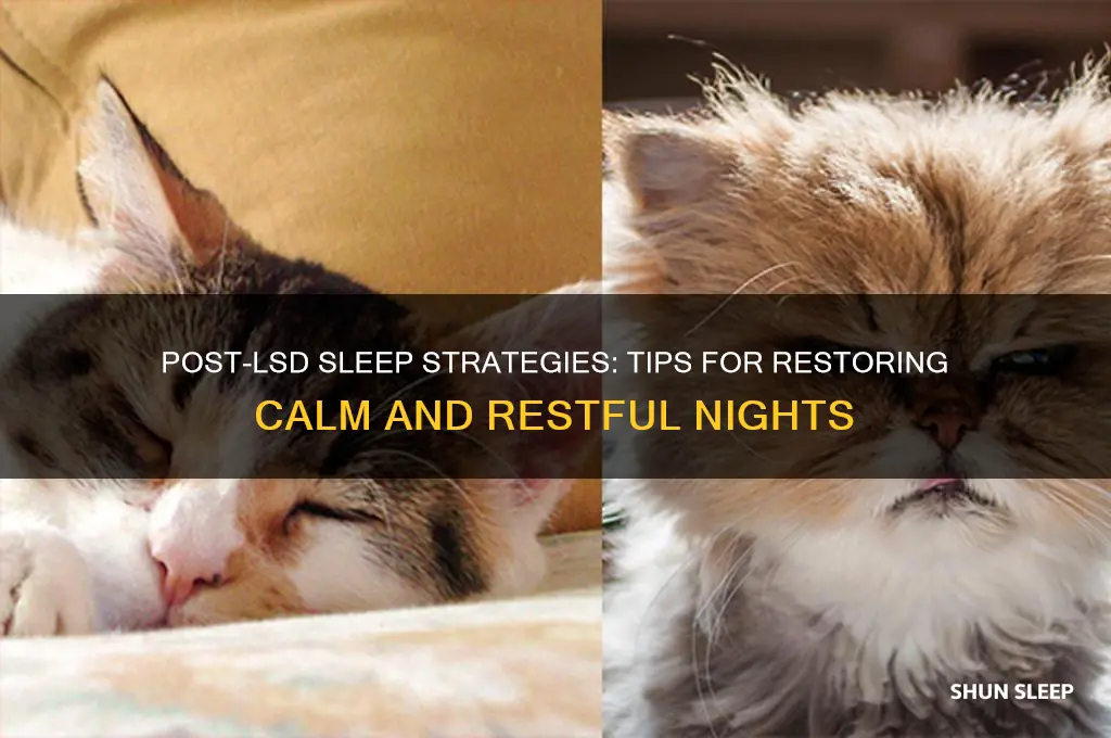 how to get to sleep after lsd