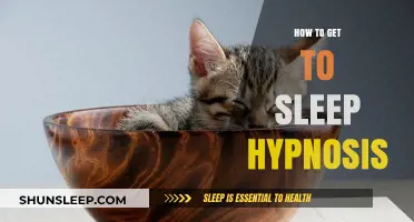 Mastering Sleep Hypnosis: Techniques for Deep, Restful Nights