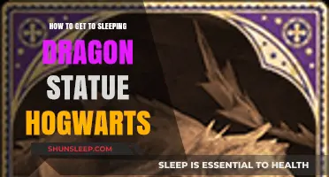 Discover the Path to Hogwarts' Sleeping Dragon Statue: A Guide