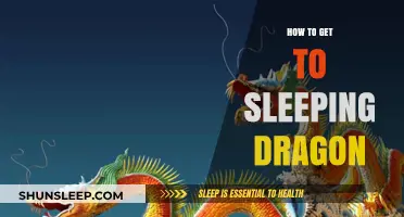 Discover the Path to Sleeping Dragon: A Comprehensive Travel Guide