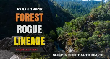 Navigating to Sleeping Forest in Rogue Lineage: A Comprehensive Guide