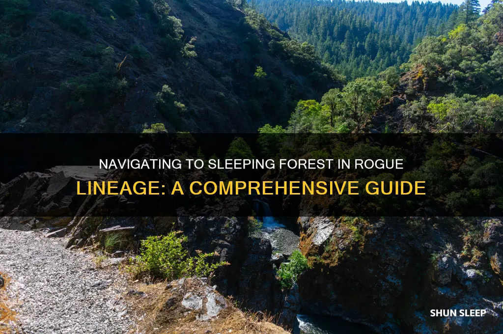 how to get to sleeping forest rogue lineage