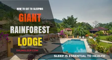 Discover Sleeping Giant Rainforest Lodge: Your Ultimate Travel Guide