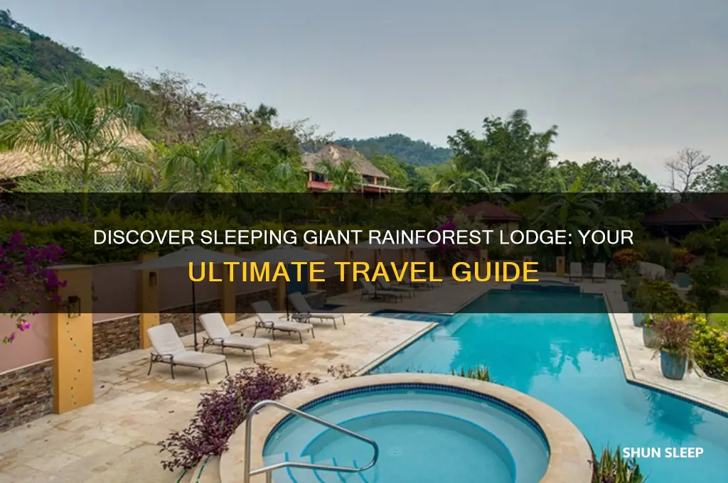 how to get to sleeping giant rainforest lodge