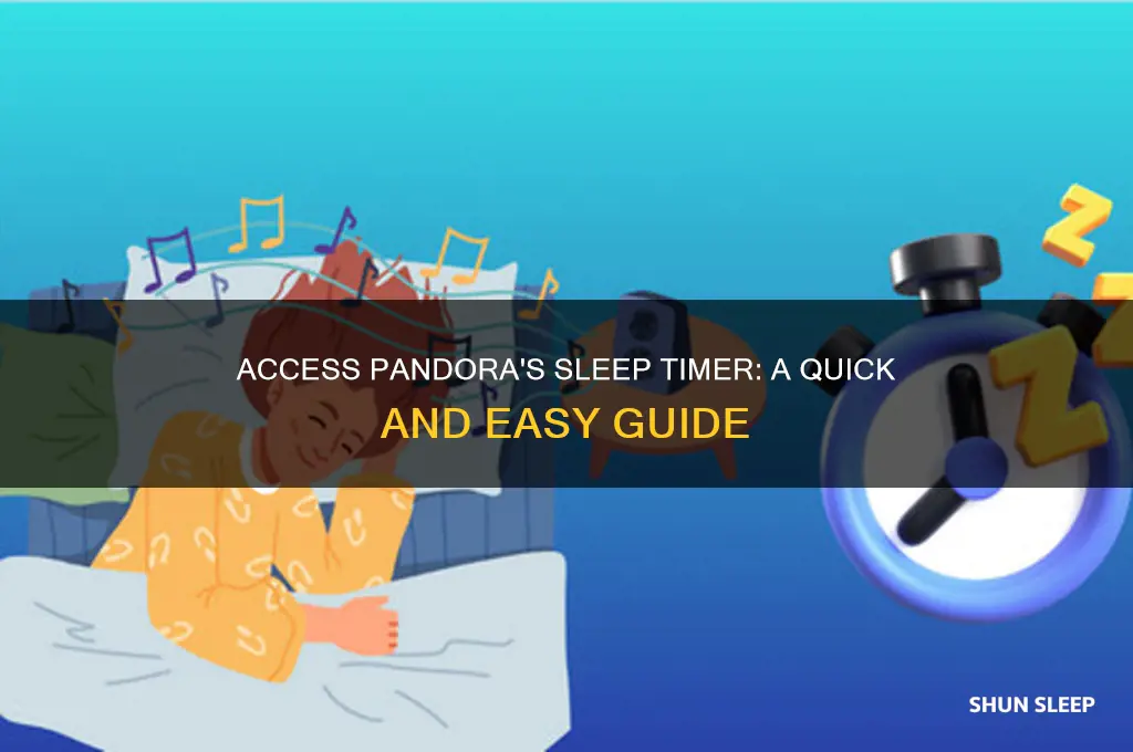 how to get to the sleep timer on pandora