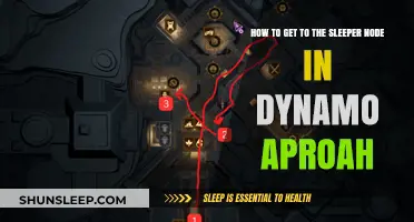 Mastering Dynamo: Navigate to the Sleeper Node Efficiently