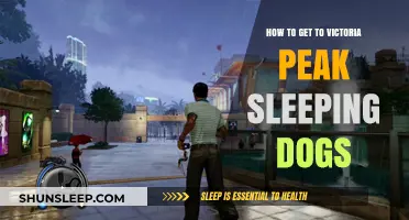 Sleeping Dogs: Navigating to Victoria Peak – A Comprehensive Guide
