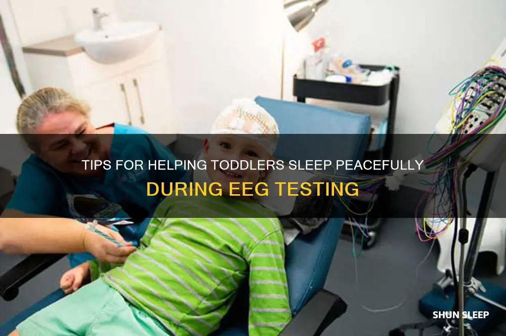how to get toddler to sleep during eeg