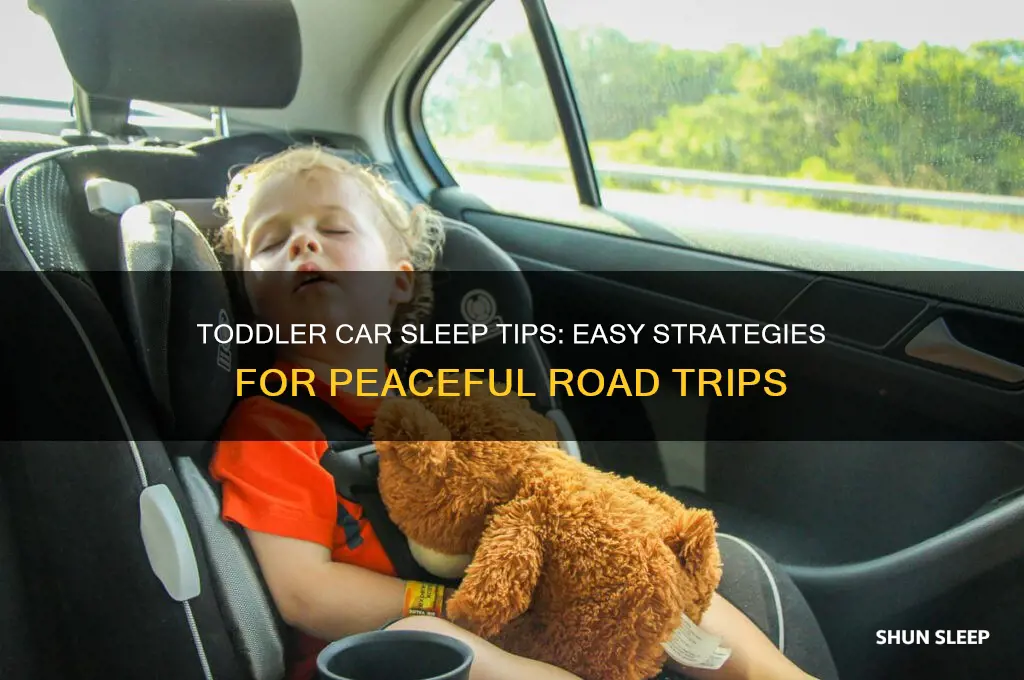 how to get toddler to sleep in car