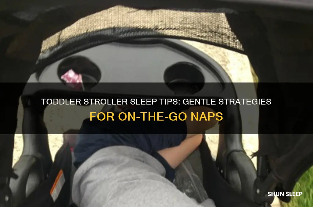 how to get toddler to sleep in stroller