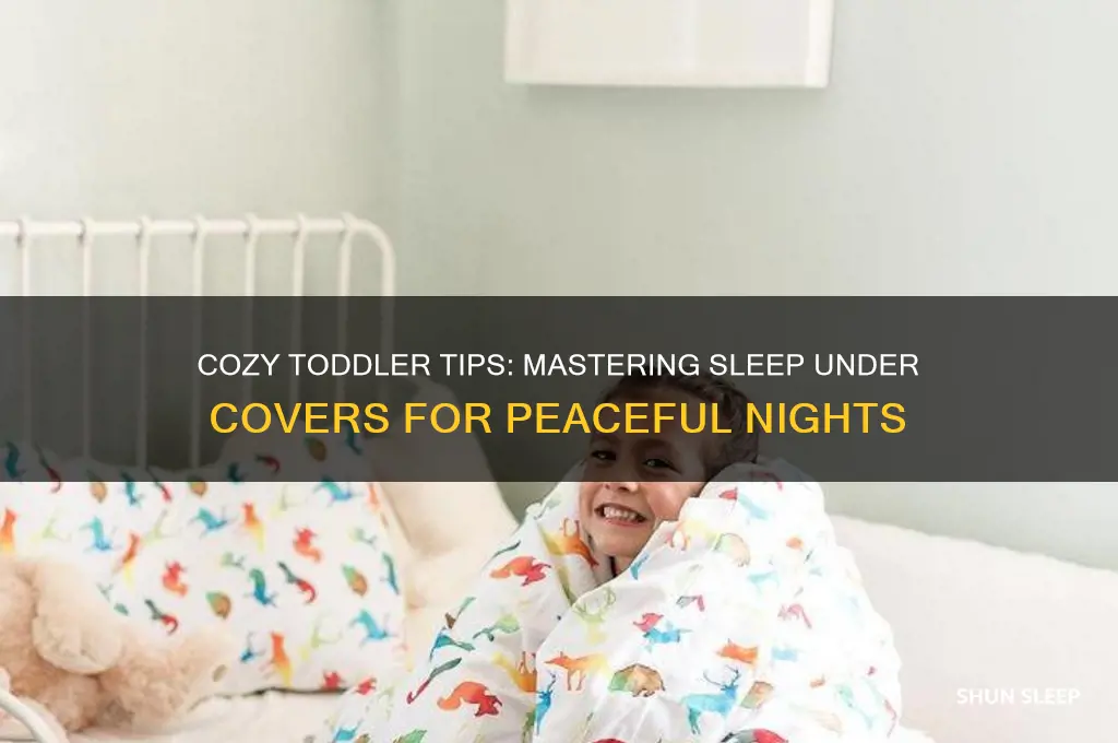 how to get toddler to sleep under covers