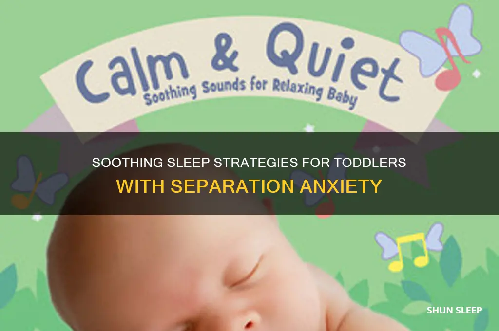 how to get toddler with separation anxiety to sleep