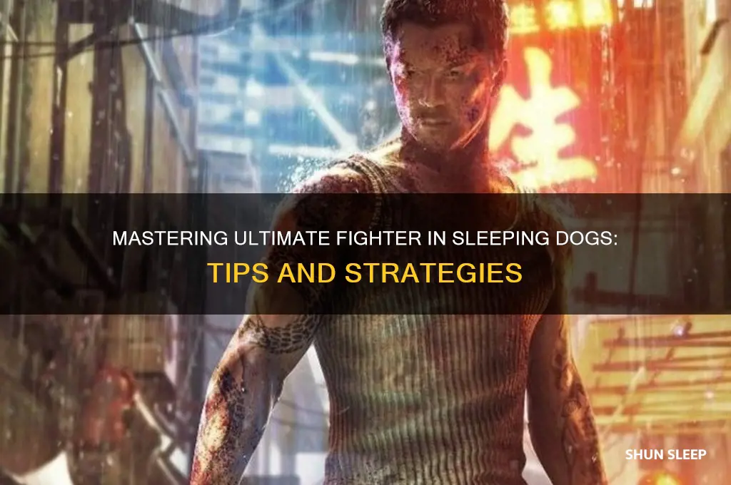 how to get ultimate fighter sleeping dogs