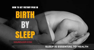 Mastering Birth by Sleep: Unlock the Ultimate Victory Pose Guide