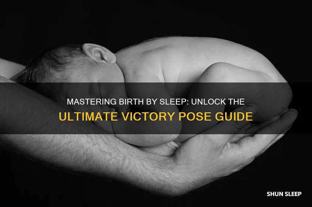 how to get victory pose in birth by sleep