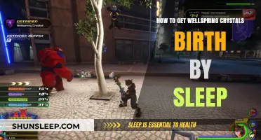 Mastering Wellspring Crystal Farming in Birth by Sleep: A Guide