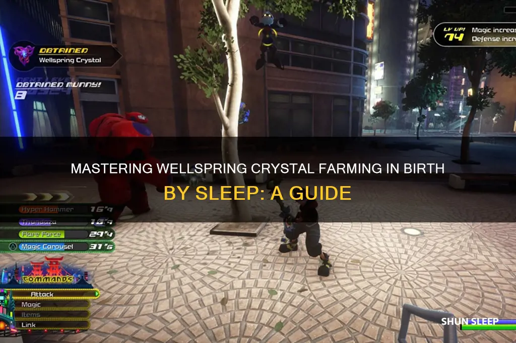 how to get wellspring crystals birth by sleep