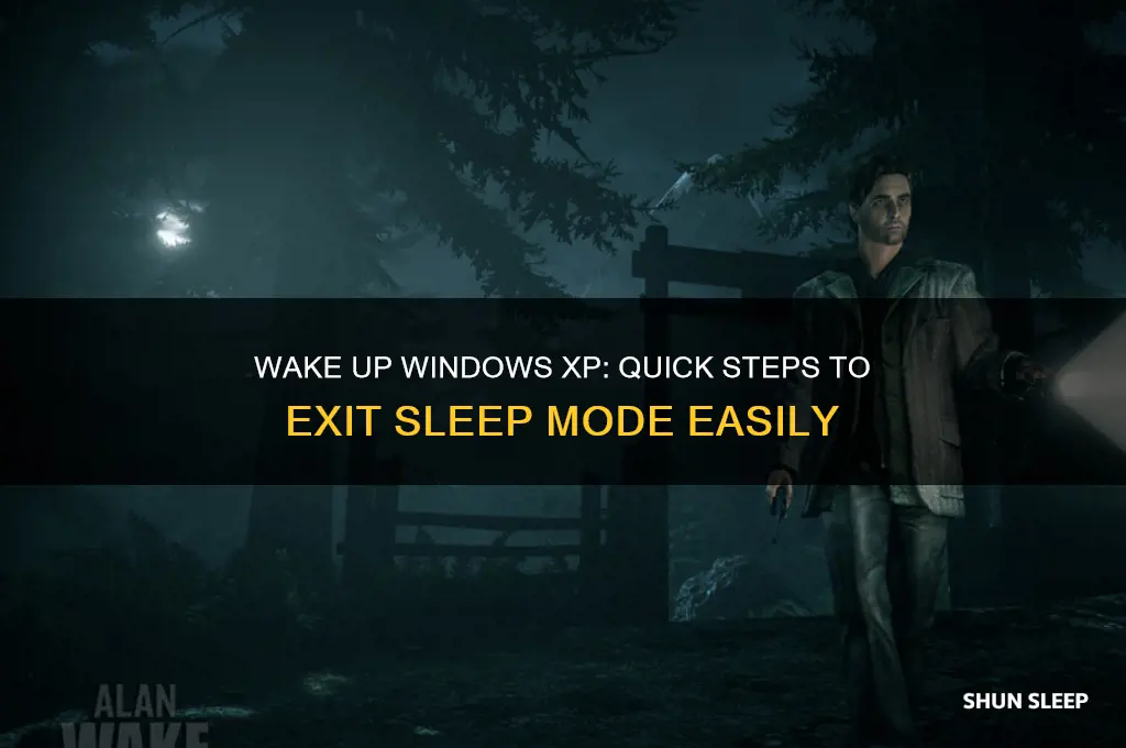 how to get windows xp out of sleep mode