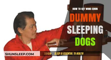 Master Wing Chun Dummy Techniques in Sleeping Dogs: A Guide