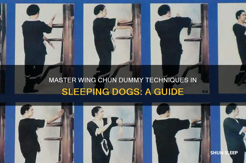 how to get wing chun dummy sleeping dogs