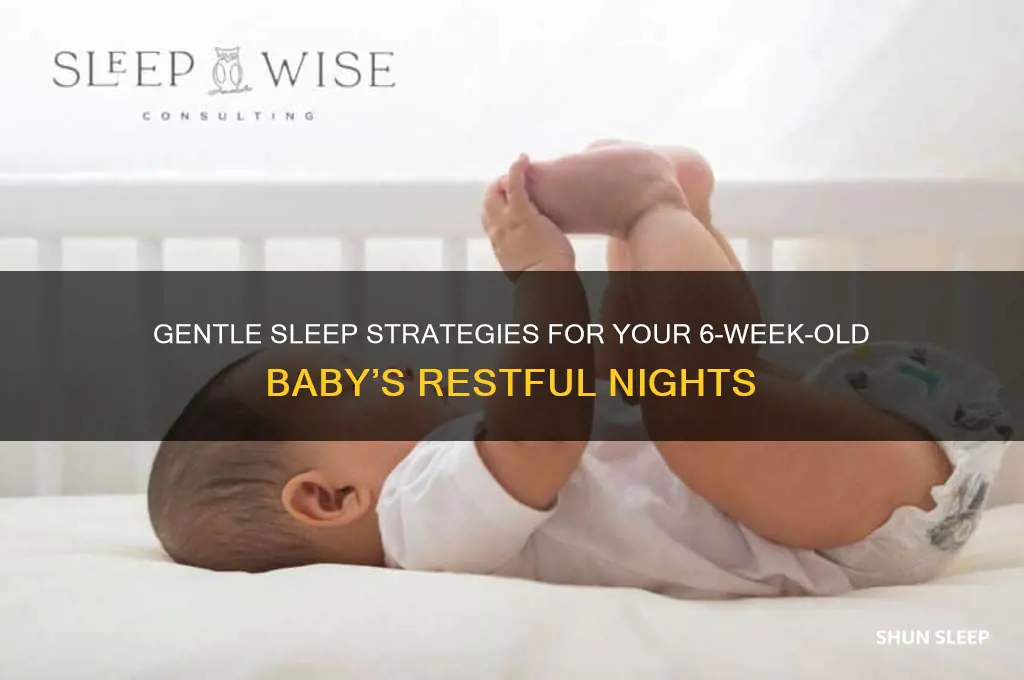 how to get your 6 week old to sleep