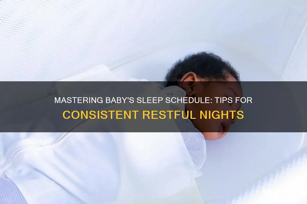 how to get your baby on the right sleep schedule