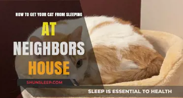 Keep Your Cat Home: Tips to Prevent Neighborly Naps