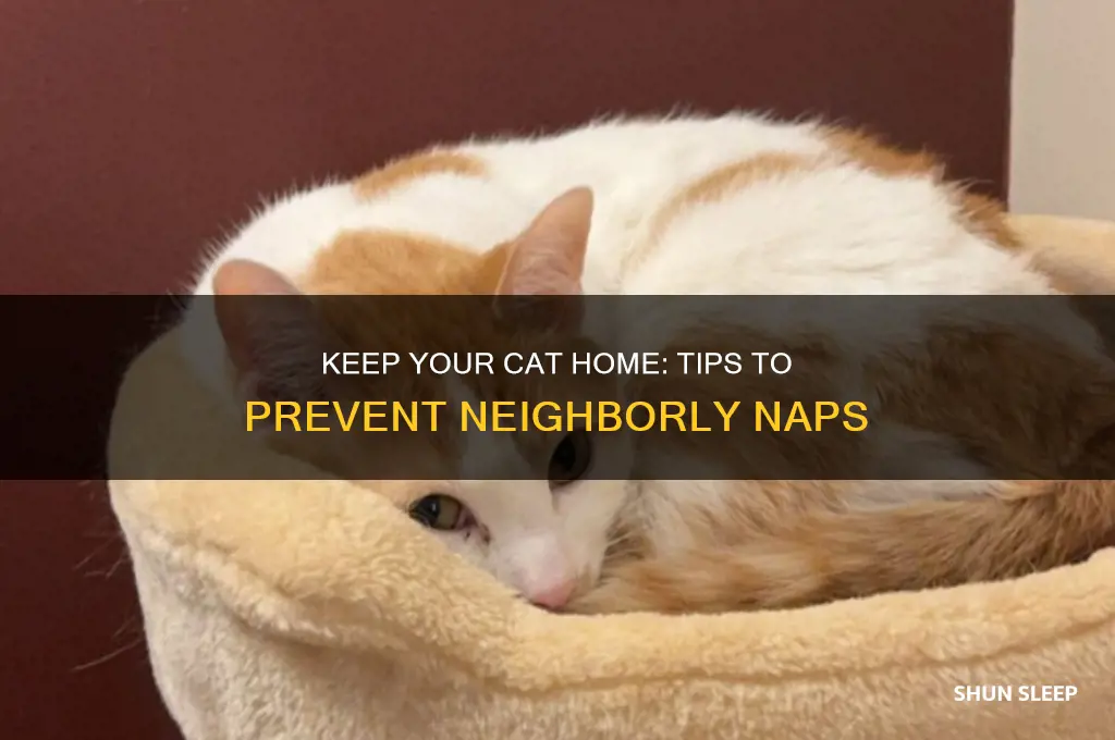 how to get your cat from sleeping at neighbors house